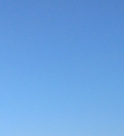 邝逸平简介