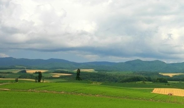 美味沙湖，游沙湖，畅游沙湖景区，尽享沙漠之美