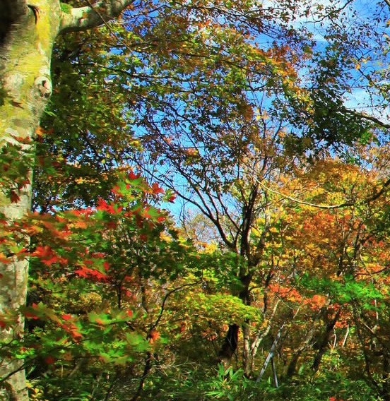 李春明简历