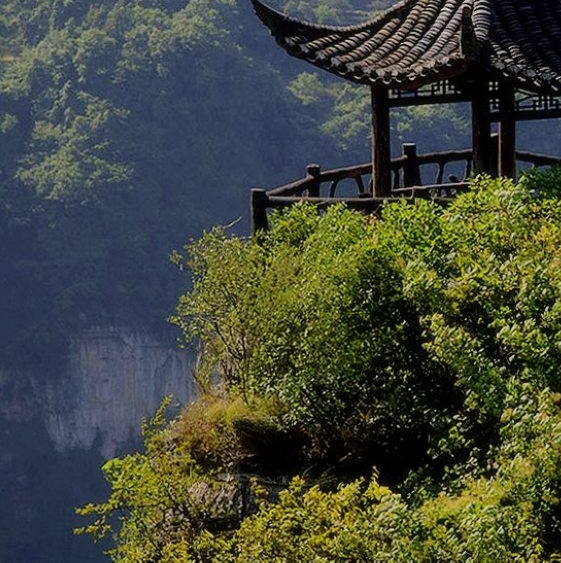 欢蹦科技、江苏蹦花科技、北京蹦豆科技：三家科技公司的探索与创新