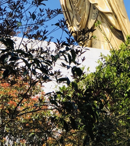 杨泽靖姓名测试：输入真实姓名网上找人，免费进行姓名打分评估