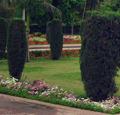 nus是什么大学