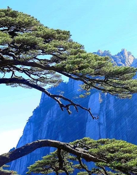 爱化身科技