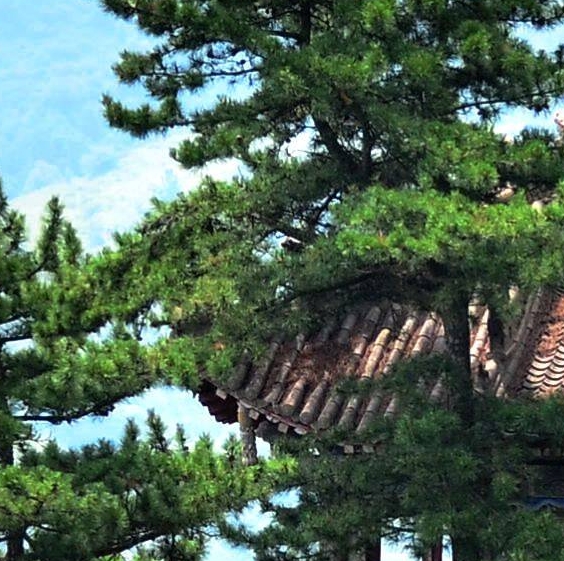 创之轨迹ns评测