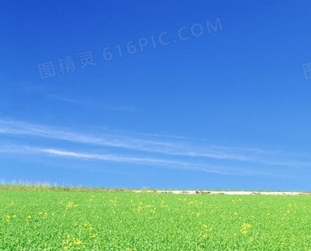 汪姓名字