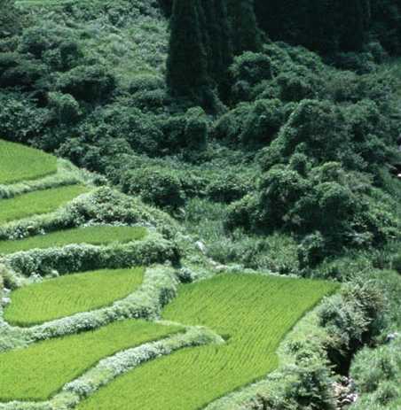 铝精深加工