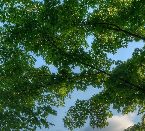 大王科技充电，深圳电子大王，共推无穷大智能充电平台