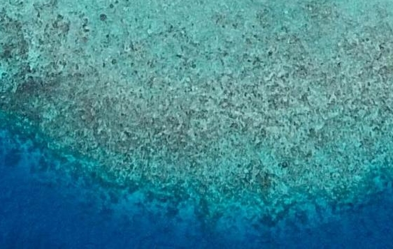 奇迹圣力药水与生命圣水，强化法圣或力圣功能