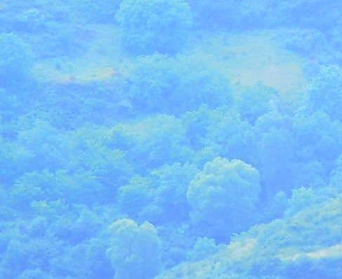 妙股令科技与微妙科技联手，优顾炒股助您轻松赚钱