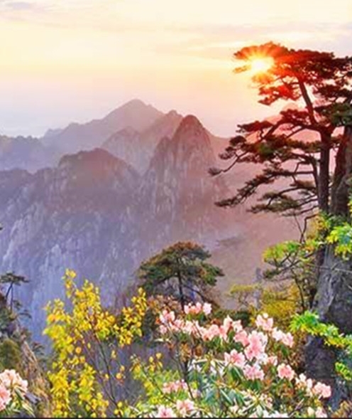 现任夏县县长