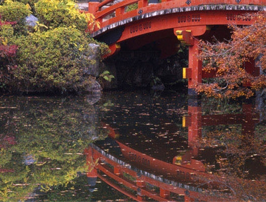 李雯雯简历