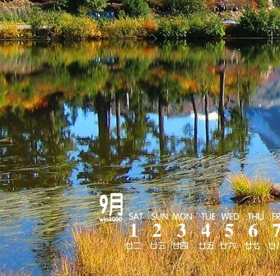 青年教师结对帮扶总结