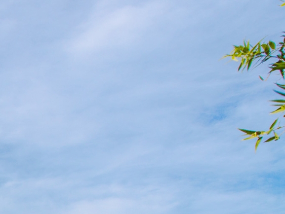 平淡而温馨的生活文案
