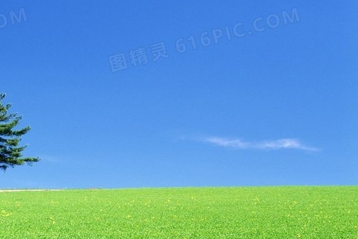 超准姓名缘分笔画33画男女配对，24字标题必看！