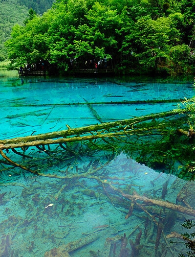 浙江交科最新消息