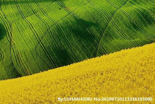 免费取名，出名男士姓名大全和一万个姓名大全全都有！