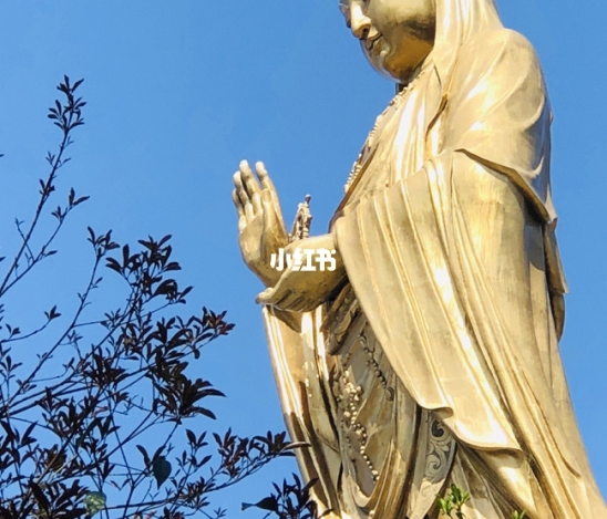 康奈尔大学图片大全