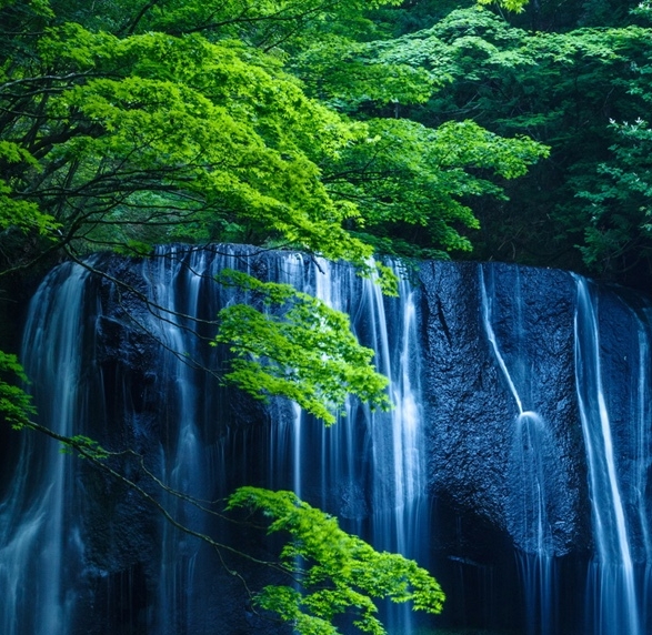 测试姓名