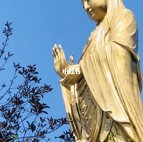 火狐在线