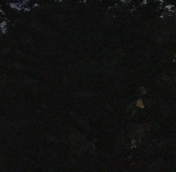 轶事是不是趣事的意思