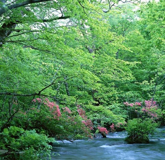 上海未来新地标建筑
