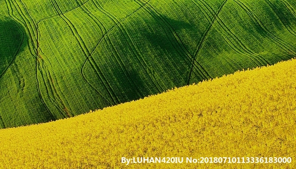 萧山科技城板块分析及未来趋势，地图详解