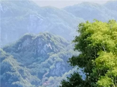 农村趣事：18个故事600字，160字简述