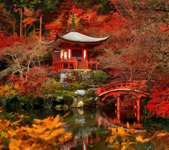 人生没有解药
