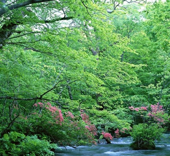 萧山科技城板块未来趋势