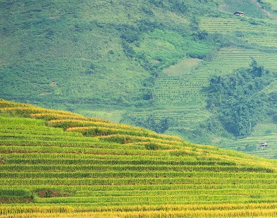 天山科技云app下载
