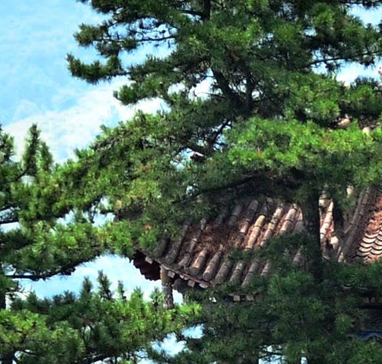 宋小宝搞笑山歌大全视频