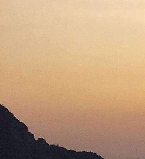 美味鸡