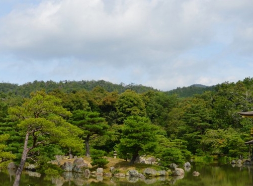 美味自助餐说说