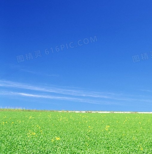 美味的披萨可口的披萨下载
