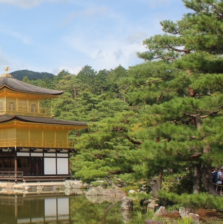 对比：阳西矿生活区与阳西电厂生活区的居住环境