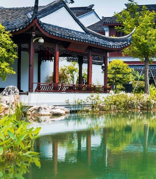 台球裁判王钟瑶简历
