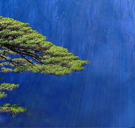 诚通香榭里28号楼