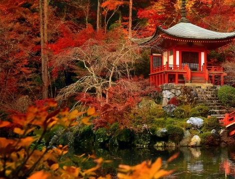 山东临沂高广田简历