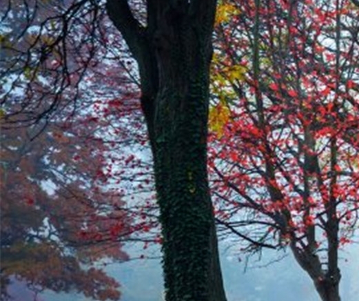 天津李群池简历