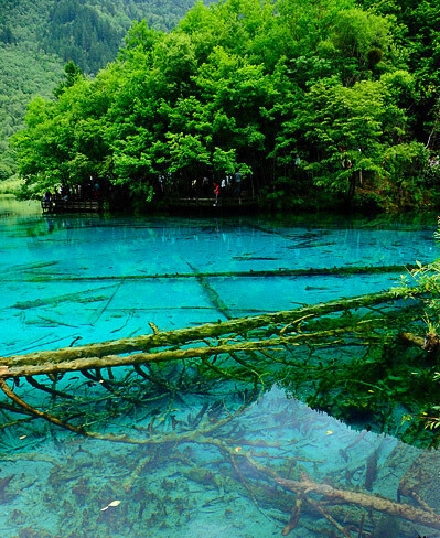 驴板肠火烧图片大全