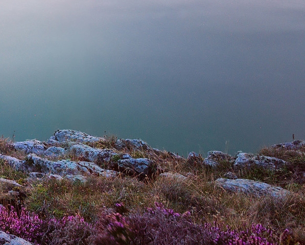 灯塔在线老是显示登录失败