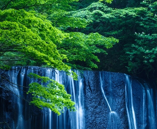 德国进口黑科技洗车水枪