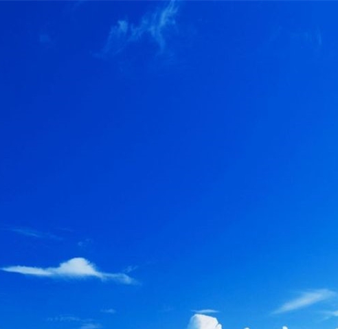春节趣事绘画简单又漂亮