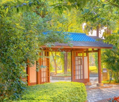 语言学树形图所有简称