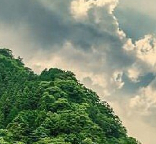 草庵村趣事与由来——昌邑的古朴乡村