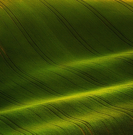 世界十大奇迹