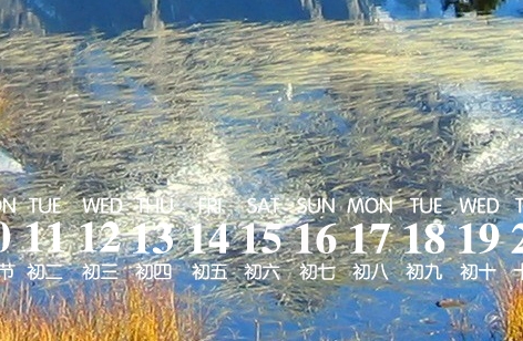 海蓝之谜奇迹面霜使用方法及精华功效