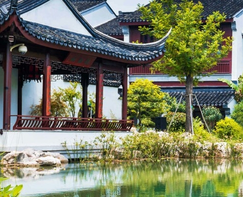 我发现的萌宠趣事