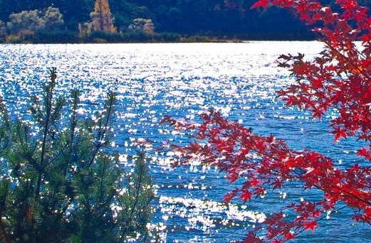 河海大学介绍姚峰和高玉峰