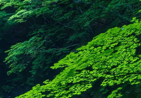 里水小学的校长是谁